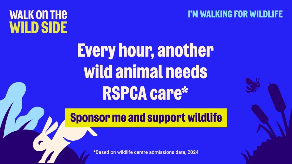 Walking on the Wild Side: 60 Miles for Wildlife