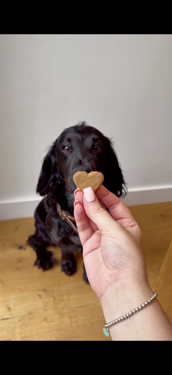 Welcome to Pet Gifts by Peggy 🐾