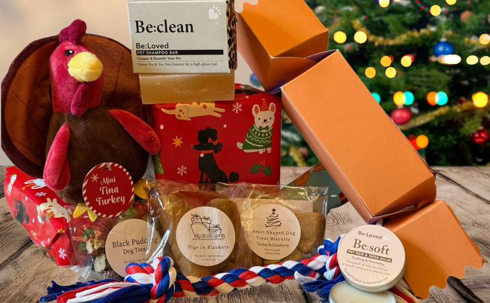 Dog gift basket with toys and treats in front of a Christmas tree
