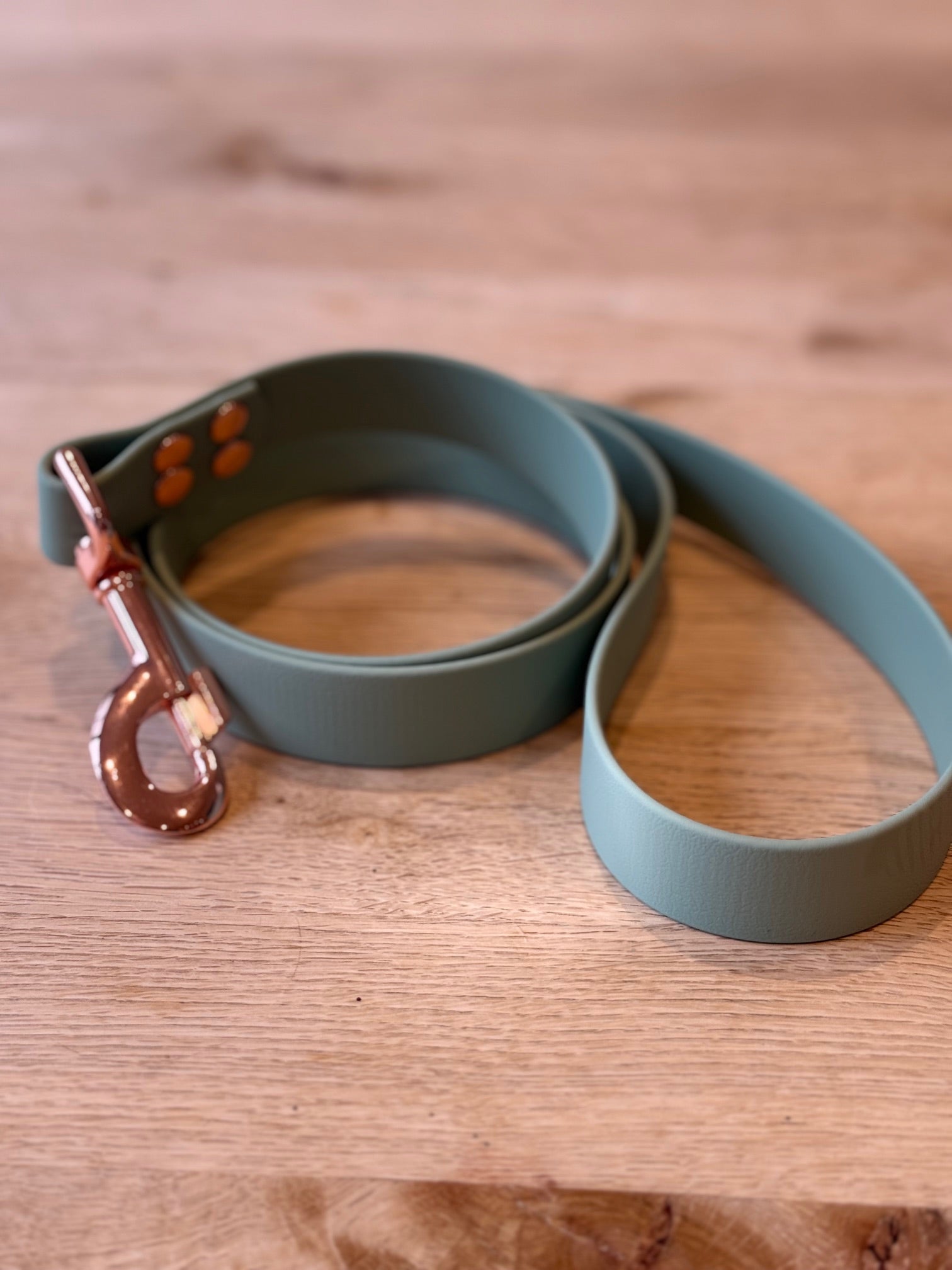 Green dog leash with a copper clasp on a wooden surface