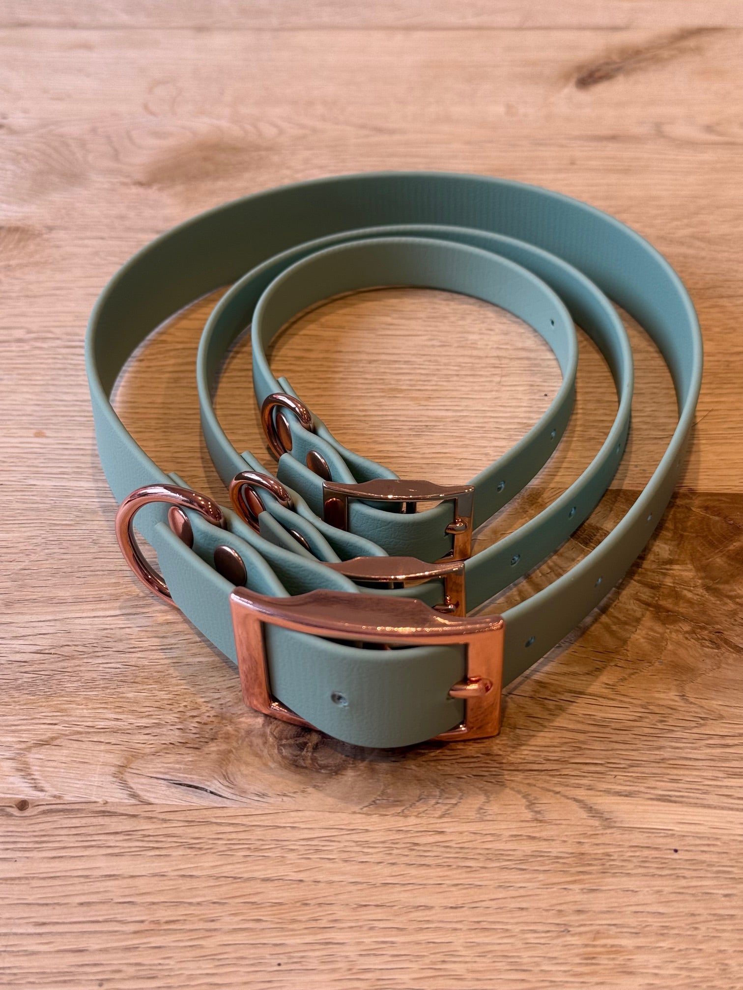 Set of green dog collars with bronze buckles on a wooden surface