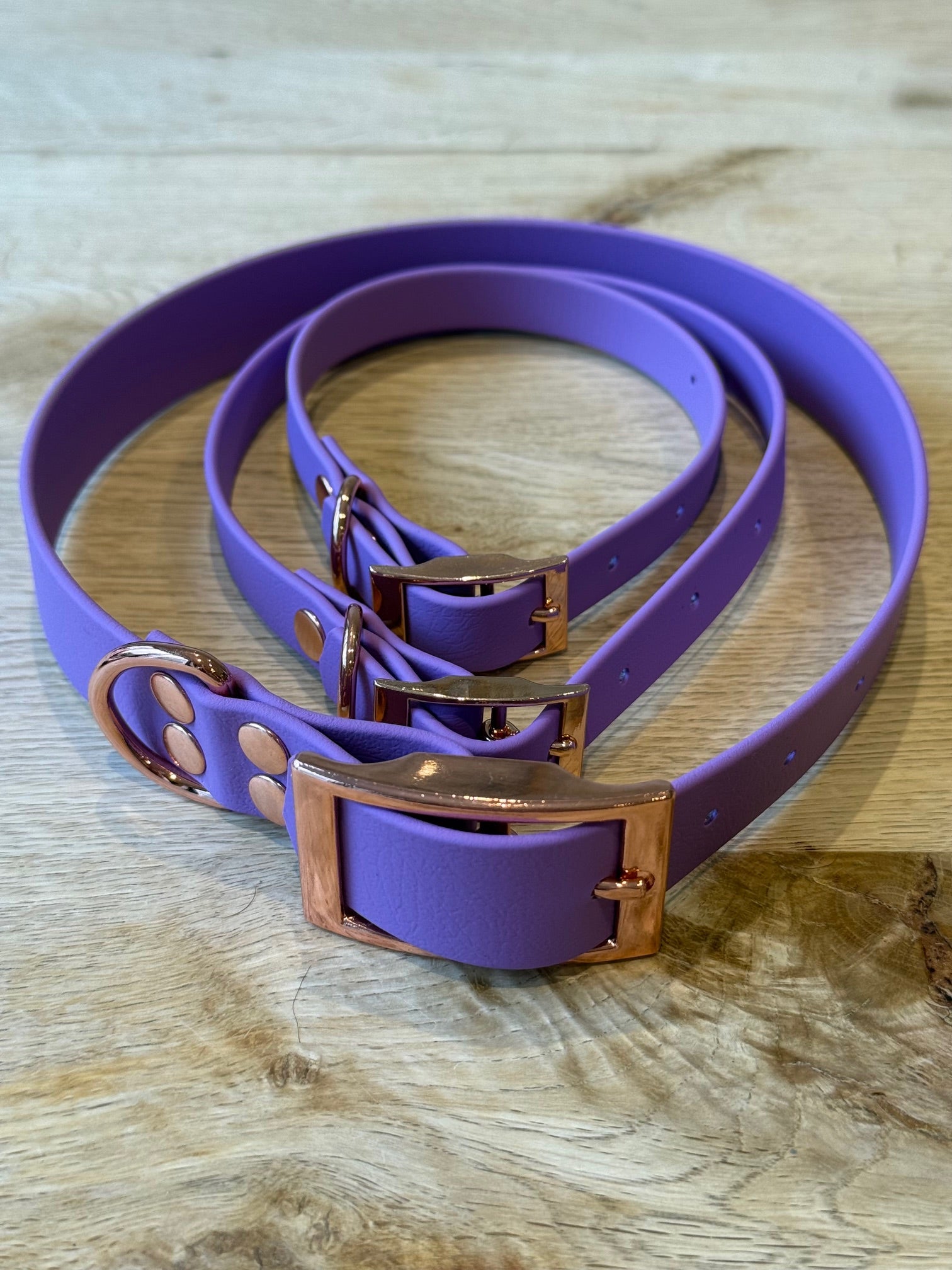 Purple dog collar with gold buckles on a wooden surface