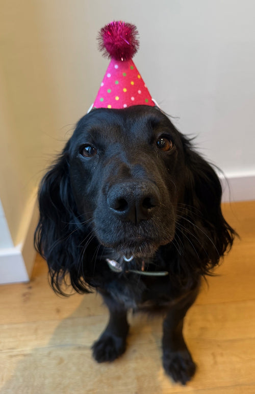 Birthday Treat Box