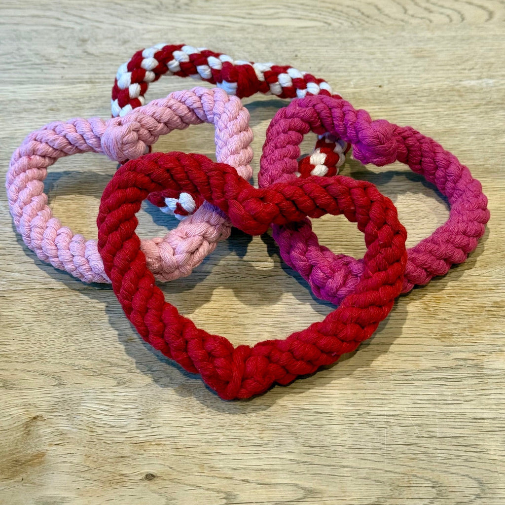 Set of pink and red braided dog toys on a wooden surface with a blue background