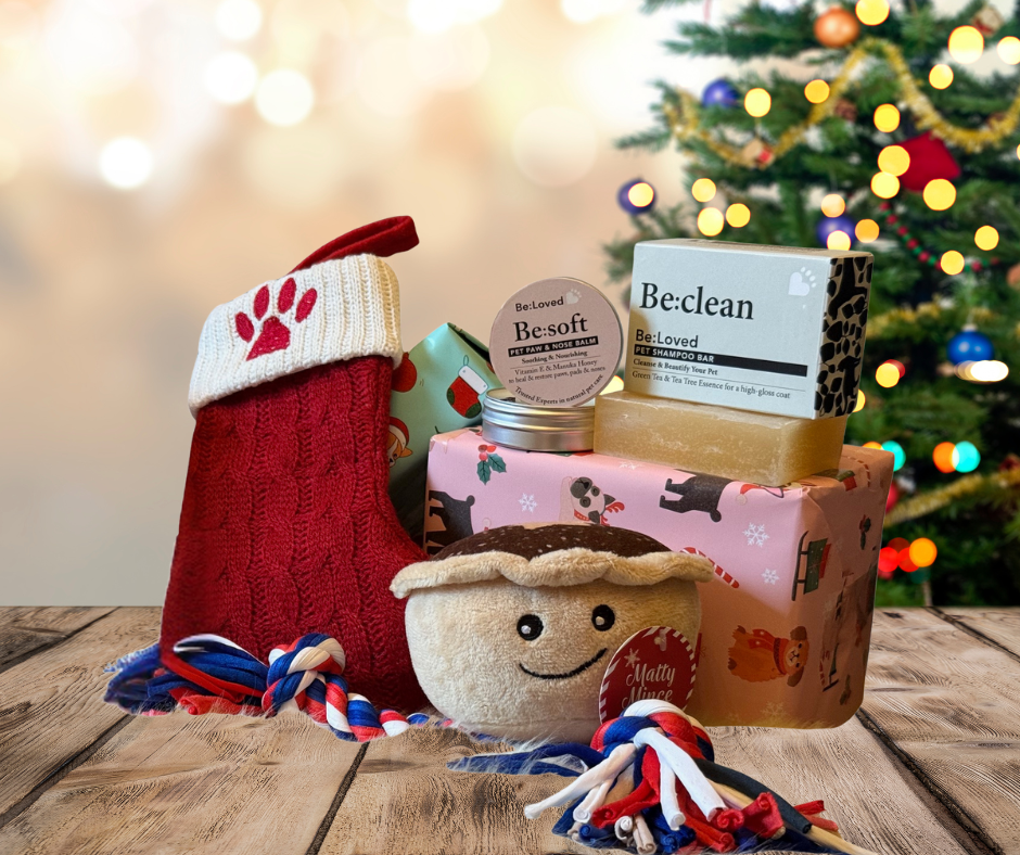 Luxury Dog Christmas Gift Box – Stocking, Treats, Toy & Pamper Set